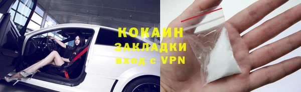 сатива Козловка