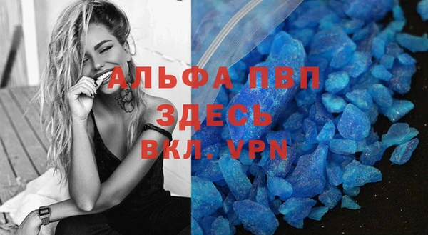 винт Коряжма