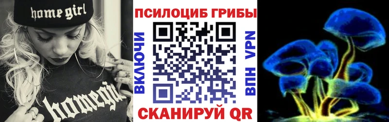 купить   Берёзовка  Галлюциногенные грибы Psilocybine cubensis 