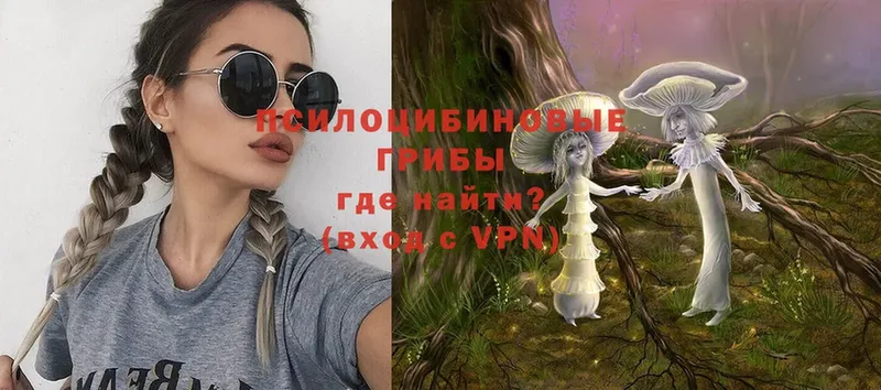 Псилоцибиновые грибы Magic Shrooms  Берёзовка 